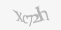 Защитный код