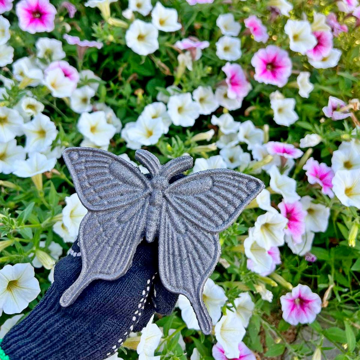 photo 30 2024 09 03 16 41 15